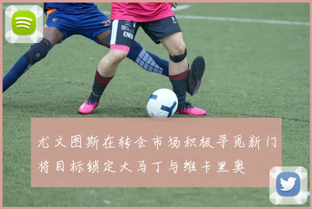 尤文图斯在转会市场积极寻觅新门将目标锁定大马丁与维卡里奥