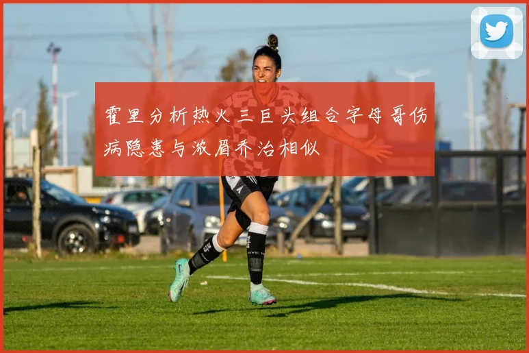 霍里分析热火三巨头组合字母哥伤病隐患与浓眉乔治相似